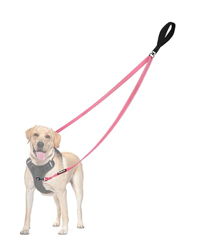 Two Point Control Dog Leash (Pink)