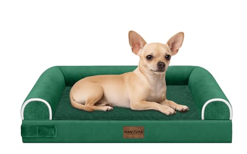 Orthopedic Dog Bed for Small Dogs (Emerald / 24.0"L x 16.0"W x 5.5"Th)