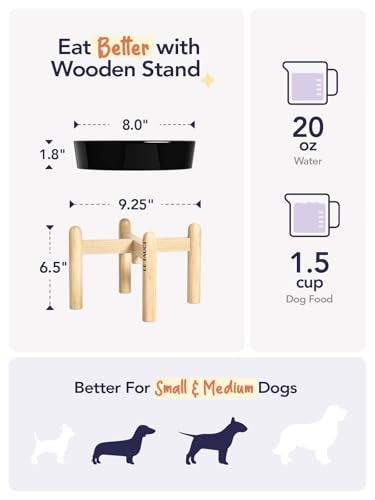 Ceramic Slow Feeder Dog Bowls Elevated (Skull Black+Stand / M-1.5 Cups)