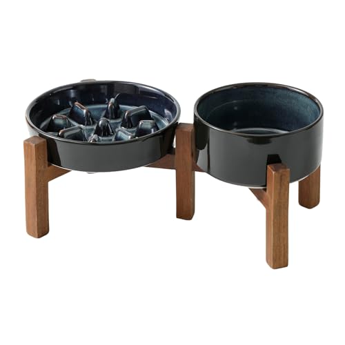 Raised Slow Feeder Dog Bowls (2 x Starry Sky + Stand - C / M- 7.3inch / 1.2 Cups)