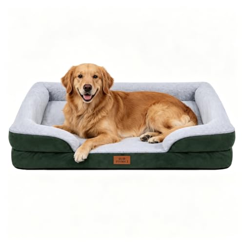 Orthopedic Extra Large Dog Bed (Green / 44.0" L x 31.5" W x 7.5" Th)