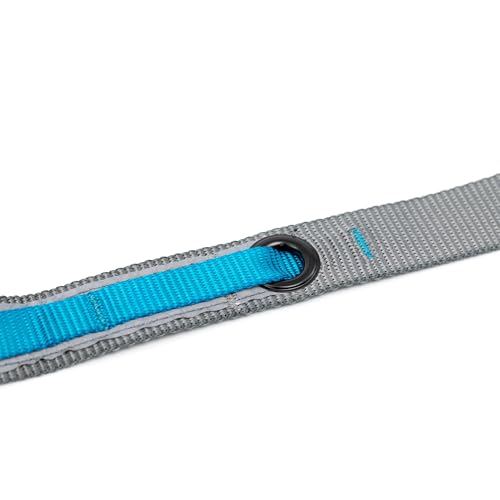 Quantum 6 in 1 Dog Leash (Black)
