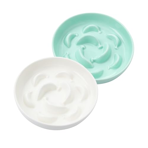 2 Pack Ceramic Cat Slow Feeder Bowl Set (White and Green)