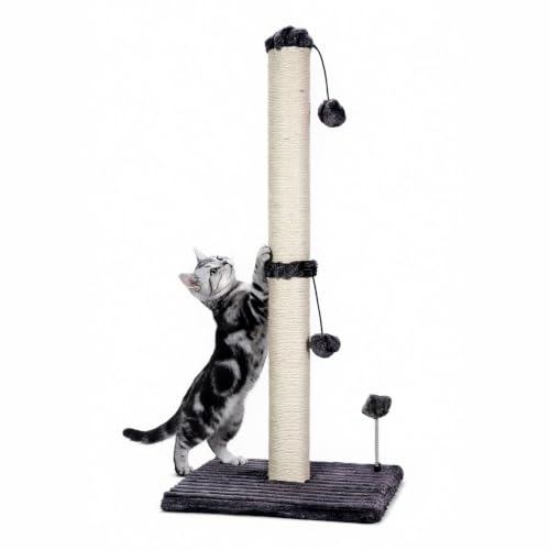 34“ Tall Cat Scratching Post Premium Basics Kitten Scratcher Sisal Scratch Posts Trees with Hanging Ball for Indoor Cats (34 inches for Adult Cats / Charcoal Gray)