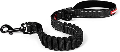 Zero Shock Bungee Dog Leash (Black / 25-Inch)