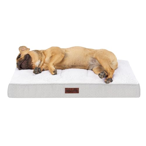 Orthopedic Dog Bed (Medium / Light Gray)