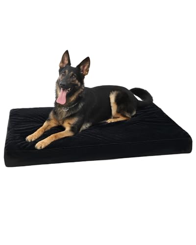 Orthopedic Dog Bed for Large Dogs with Waterproof Lining (Black / 41.0"L x 27.0"W x 3.0"Th)