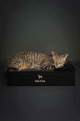 Small Dog Bed (Denim - Black / Small)