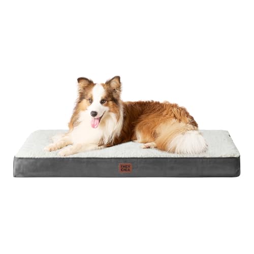 Orthopedic Dog Bed Large with Removable Washable Cover (41*27*3.5 inches / Beige)