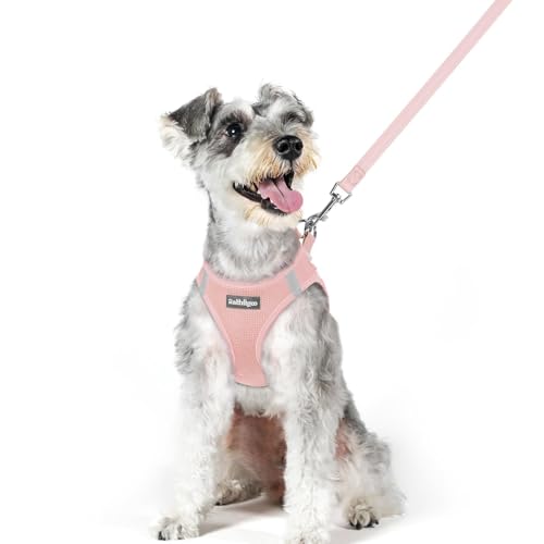 Dog Harness Medium Sized and Leash Set (Pink / Xl (chest: 20 - 21.8"))