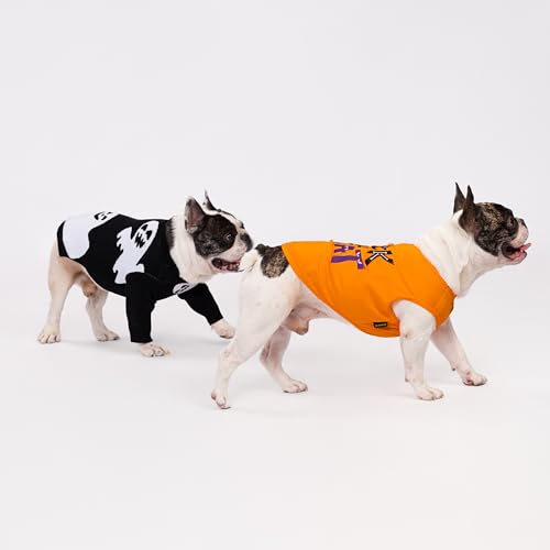 Halloween Ghost Dog Sweater (Medium / Ghost)