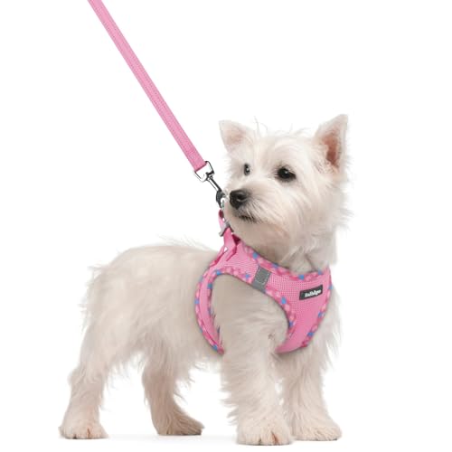 Dog Harness Small Sized and Leash Set (Pink & Plaid Trim / S (chest: 15.1 - 16.5"))
