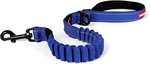 Zero Shock Bungee Dog Leash (Blue / 25-Inch)