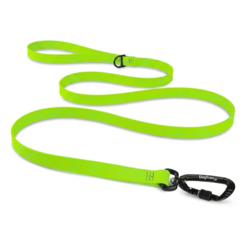 Essential Biothane Dog Leash (Chartreuse Green / 1 In x 5 Feet)