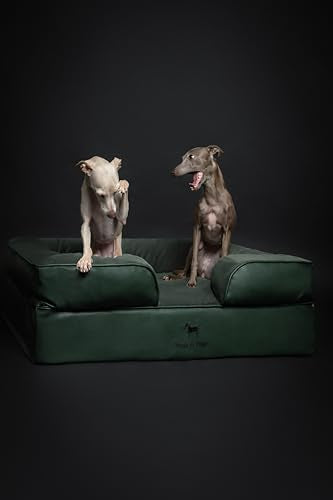 Large Dog Bed (Vegan Leather - Green / Large)