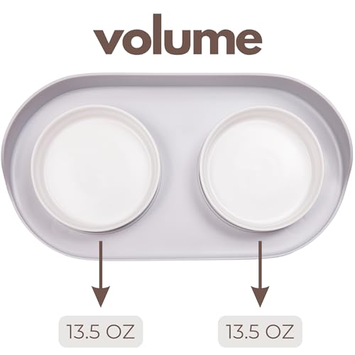 Ceramic Dog Bowls with Stand (13.5 OZ / White / Gray)