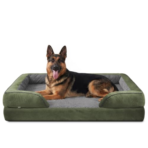Orthopedic Dog Bed for Extra Large Dogs (XXL (48"x 35"x 8") / Green)