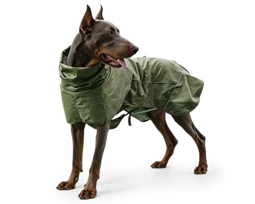 Dog Raincoat with Hood (Green (Mesh Lining) / 2XL)