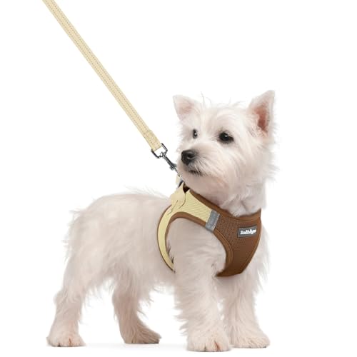 Dog Harness Small Sized and Leash Set (Brown & Beige / S (chest: 15.1 - 16.5"))