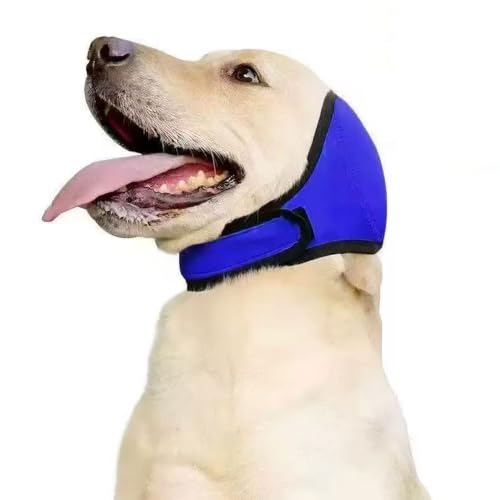 Dog Ear Protection Wrap (Blue / Medium)