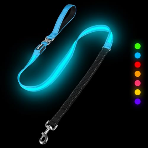 LED Bungee Dog Leash (5 FT, MAX: 6 FT / Sky Blue)
