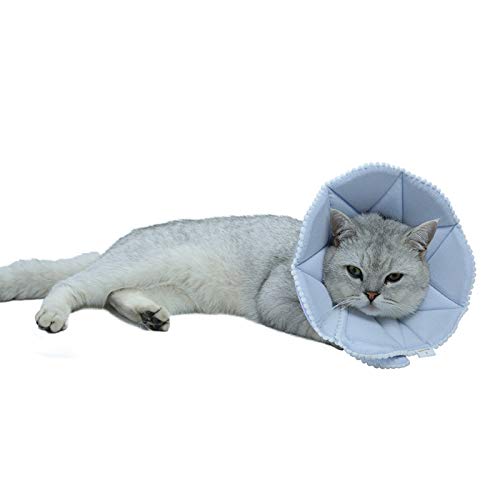 Soft Cat Recovery Collar (Small / Blue)