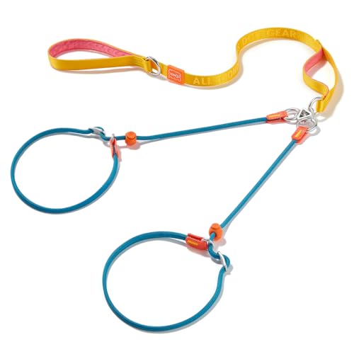 Slip Lead Leash 2 Dogs (Multicolor / w/ Handle)