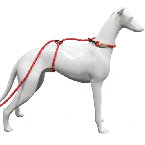 12ft No Choke Leash Long Rope Dog Leash (12 Ft / RED)