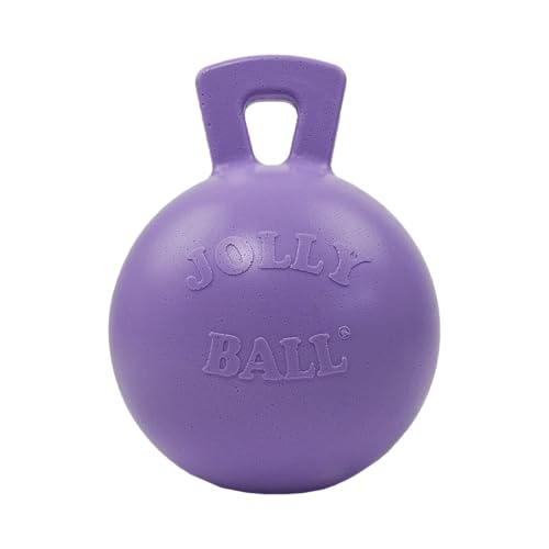 Tug-n-Toss Heavy Duty Dog Toy Ball with Handle, 10 Inches/X-Large, Light Purple (Light Purple / XL (10 in))