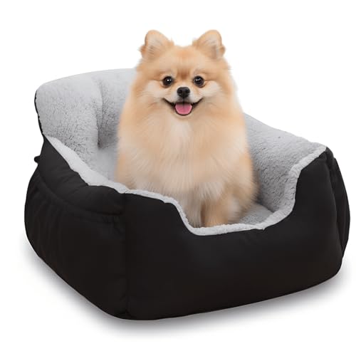 Dog Car Seat for Small Dogs
