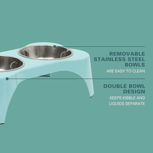 Bow Wow Meow 3 (Teal / 13oz Dog Bowl (Set of 2 w/ Elevated Holder))