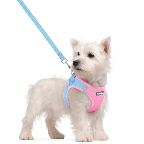 Dog Harness Small Sized and Leash Set (Blue & Light Pink / S (chest: 15.1 - 16.5"))