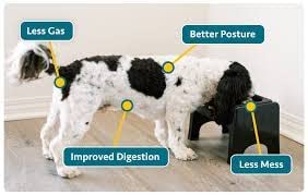 Elevated Dog Bowl for Food Minimize Neck Strain (Small to Medium / Black)