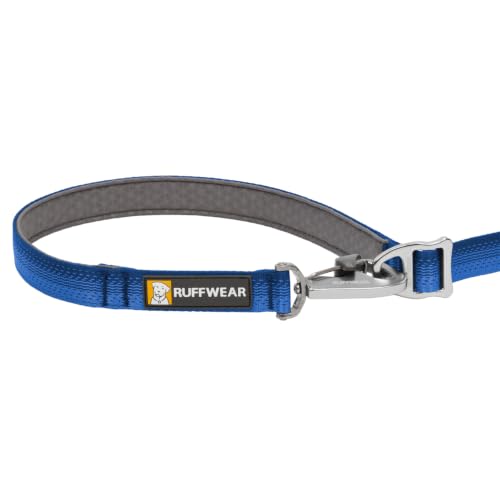 Switchbak Dog Leash (Blue Pool / One Size)