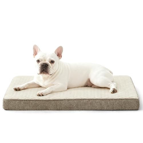 Orthopedic Dog Bed for Small Dogs (S(23"x17") / Beige)