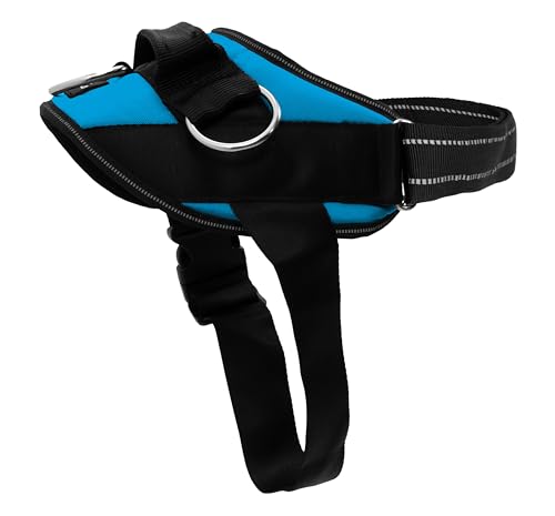 Essential Dog Harness (Oceanic Blue / XL)