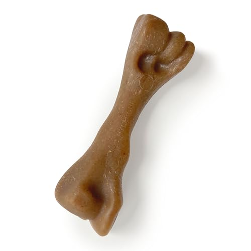 Strong Chew Femur Bone Dog Toy (Femur Bone / Small)