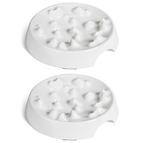 Whisker Friendly Slow Feeder Cat Bowl for Healthy Digestion (Slow Feeder - Set of Two / Marshmallow)