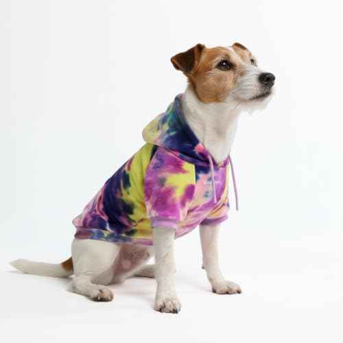 Dog Hoodie Buttery (Berry Lemonade / Large)