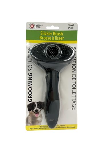 Small Slicker Brush for Dogs and Cats (Small / Slicker Brush for Small Dogs and Cats)