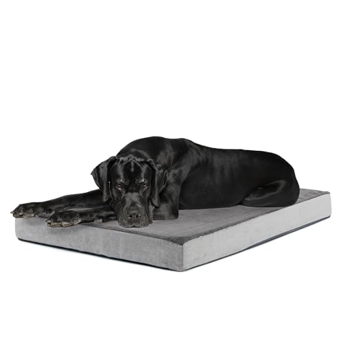 Orthopedic Dog Bed (Grey / XX-Large)