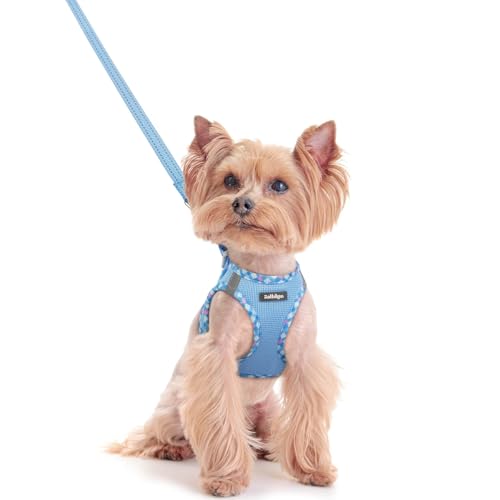 Dog Harness Small Sized and Leash Set (Blue & Plaid Trim / Xxs (chest: 12.4 - 14.2"))