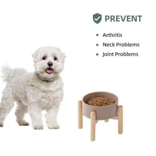 Ceramic Dog Bowls Elevated (Brown Coffee)