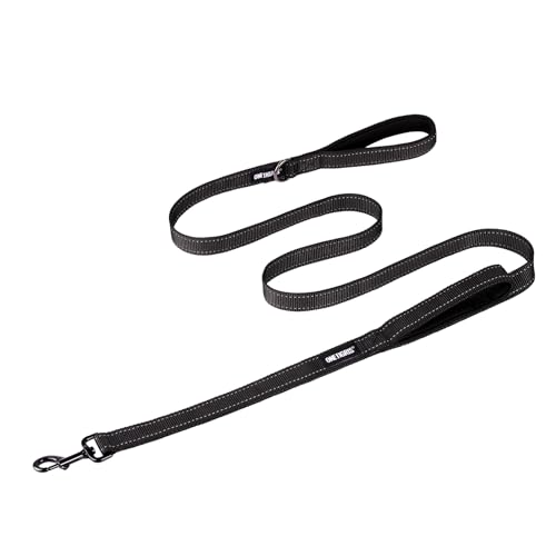 No Pull Dog Leash with Handle for Medium Large Dogs (Black / 6FT)