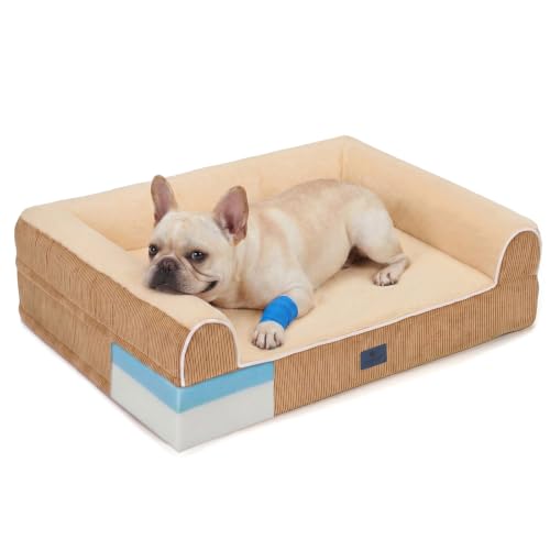 Orthopedic Dog Bed for Medium Size Dogs (Light Yellow / 35"L x 26"W x 10"Th)