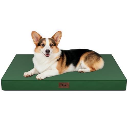 Outdoor Waterproof Orthopedic Dog Bed for Large Dogs (Dark Green / 36.0"L x 27.0"W x 3.0"Th)