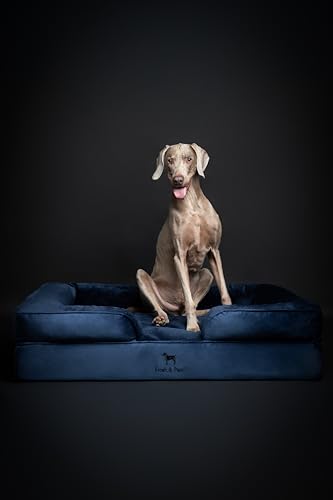 XL Dog Bed 45x35x11 Inch (Velvet - Navy Blue / X-Large)