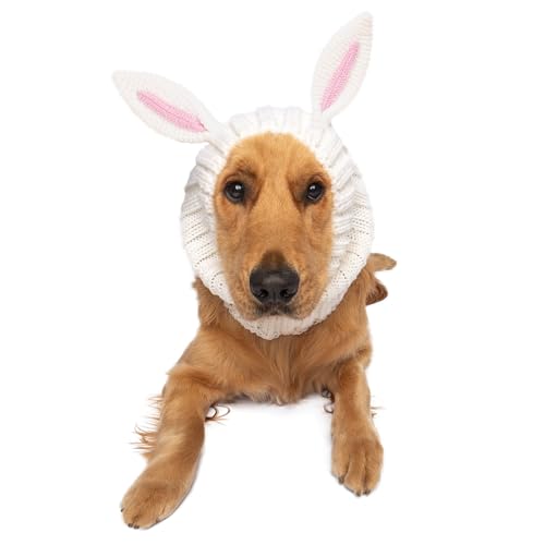 Bunny Costume (Large)