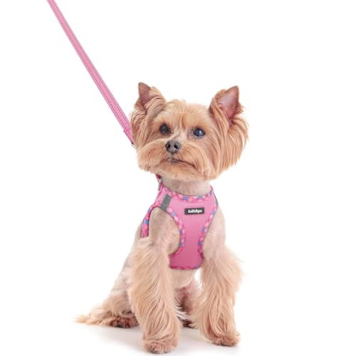 Dog Harness Small Sized and Leash Set (Pink & Plaid Trim / Xxs (chest: 12.4 - 14.2"))