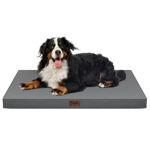 Outdoor Extra Large Dog Crate Bed XXL for Giant Breed Dogs (Grey / 47.0"L x 29.0"W x 3.5"Th)